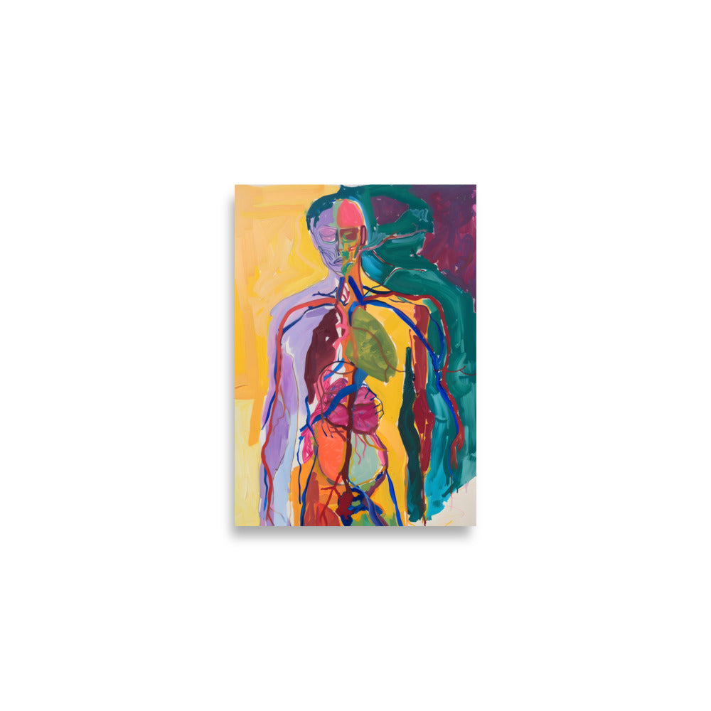 Anatomi plakat 02
