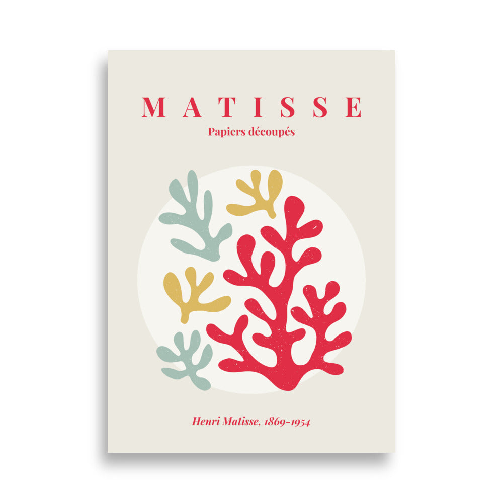 Color harmony - Matisse plakat